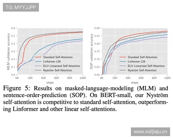 帕尔默与B费效率差异及战术角色解析